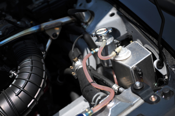 110519 s4 DSC_8337.jpg